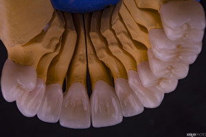 PRO-DENT-MZ-SM-praca-1