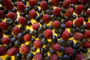 SBB-podziekowania-pacjentki-tort-5