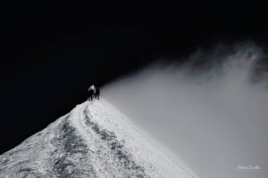 36683965_2021705074506738_6672246846980620288_o